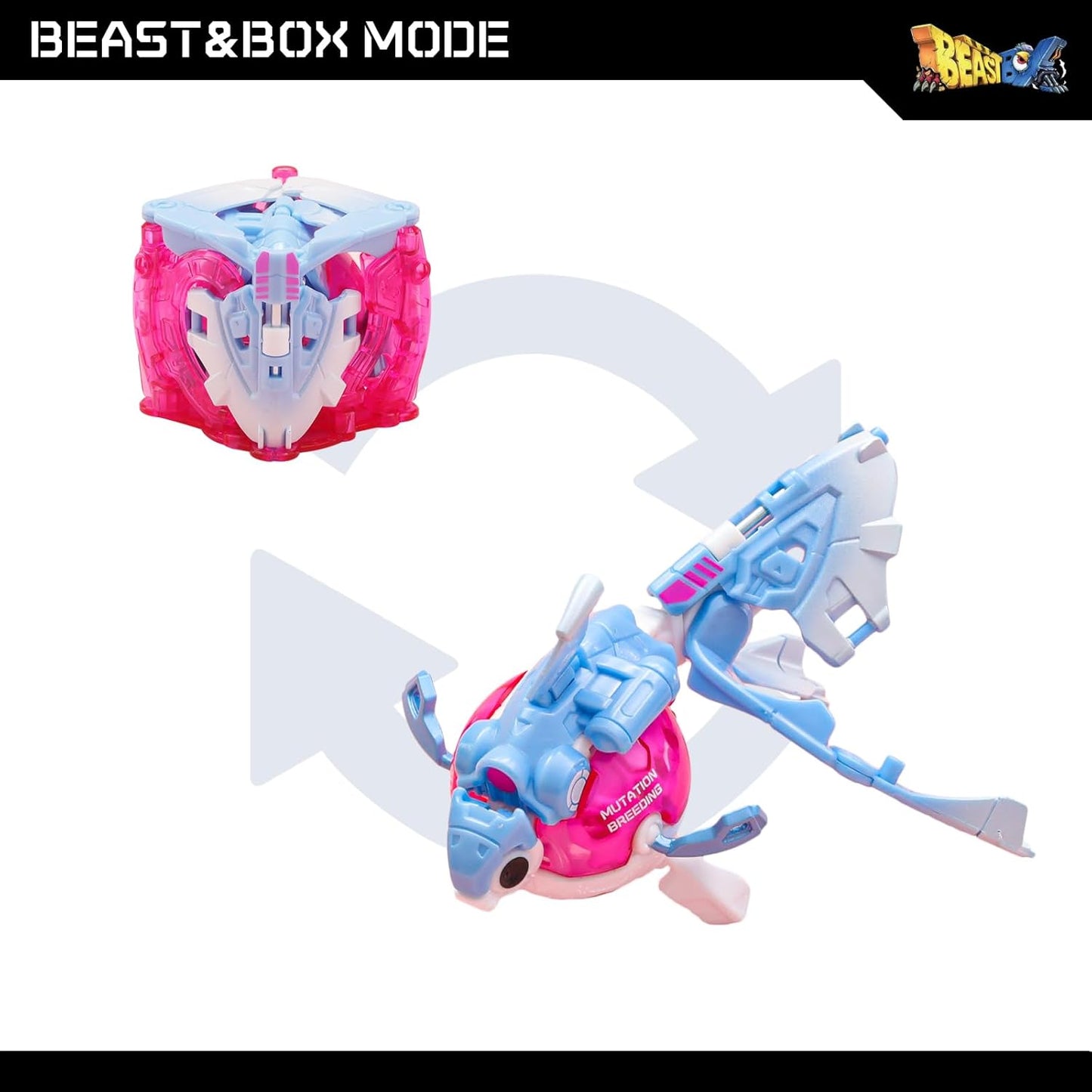 BeastBox