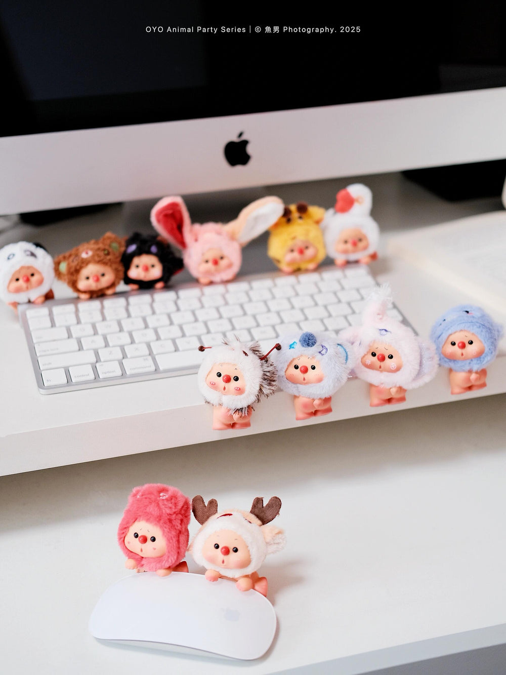 JOTOYS	OYO Animal Party Series Mini Blind Box
