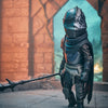 FireLink Elden Ring Deformed Figure